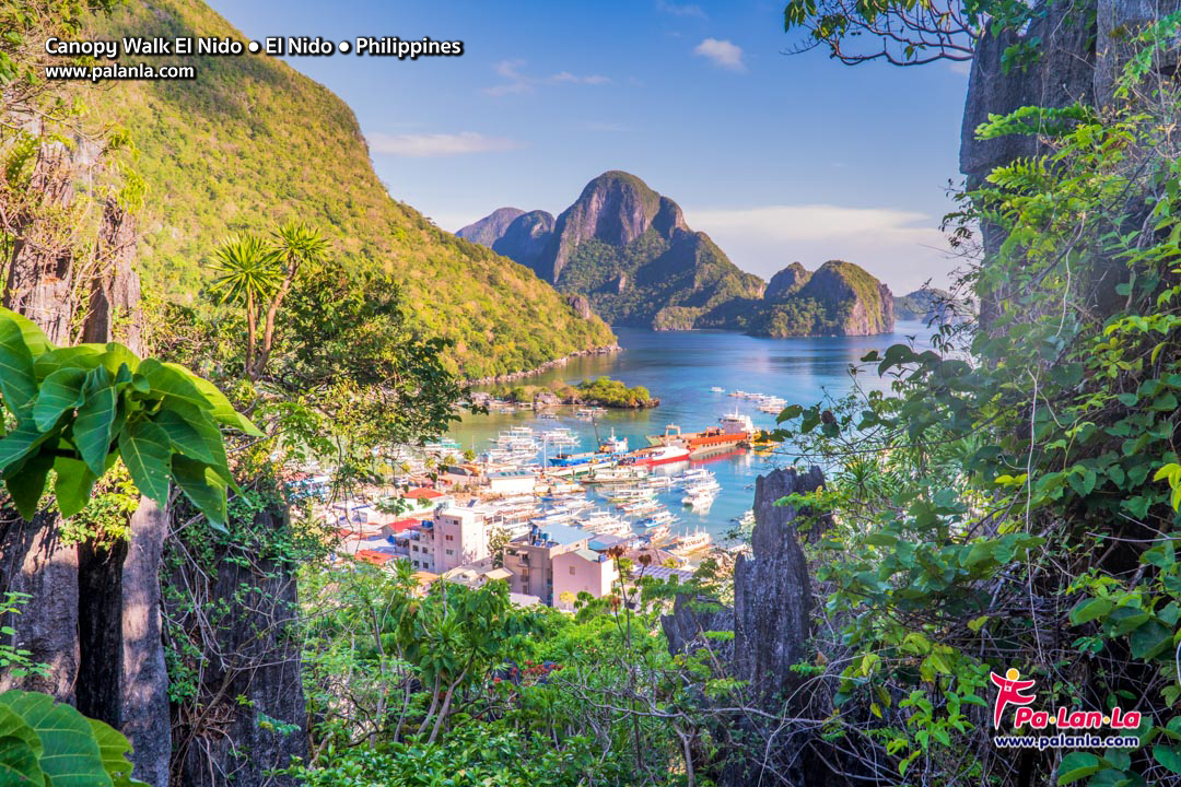 Canopy Walk El Nido